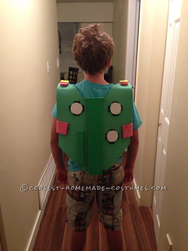 Halloween Costume for 11 Year Old Boy