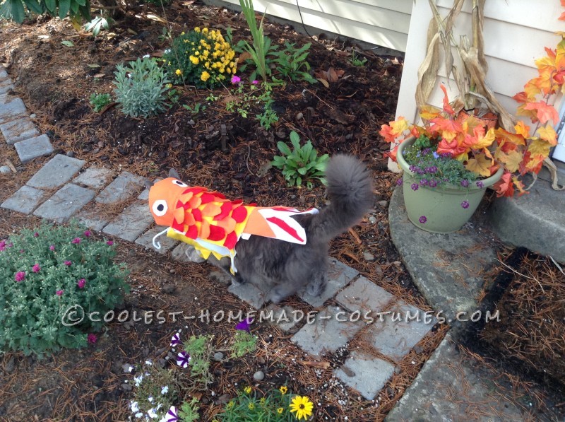 Funny "Cat"fish Costume