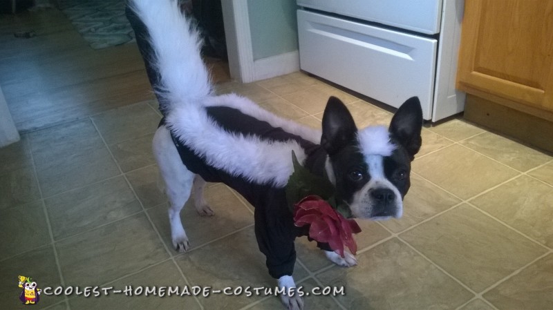 Handmade Flower the Skunk from Bambi Dog Costume