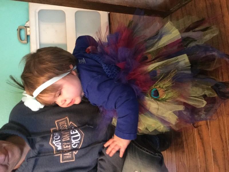 Baby peacock
