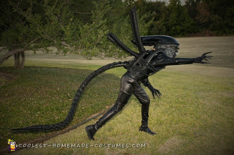 An Alien Xenomorph Invades Plano, TX!!