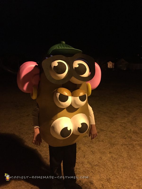 Coolest Mr Potato Head Family