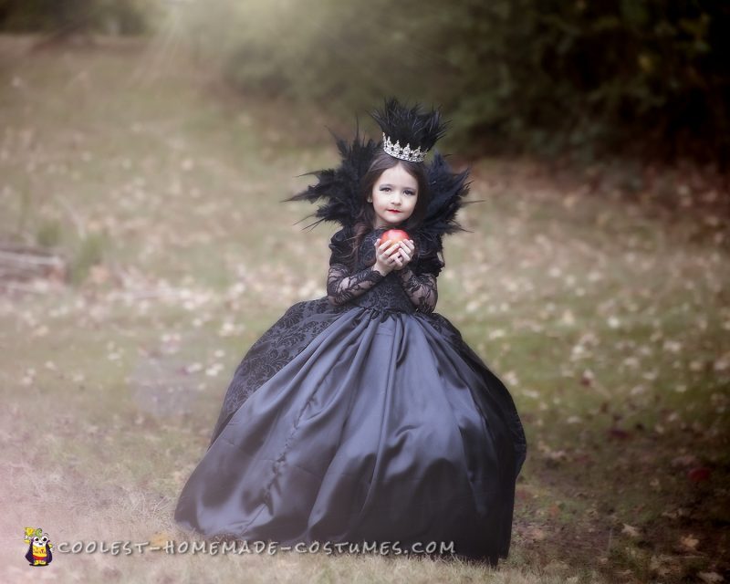 The Evil Queen Costume