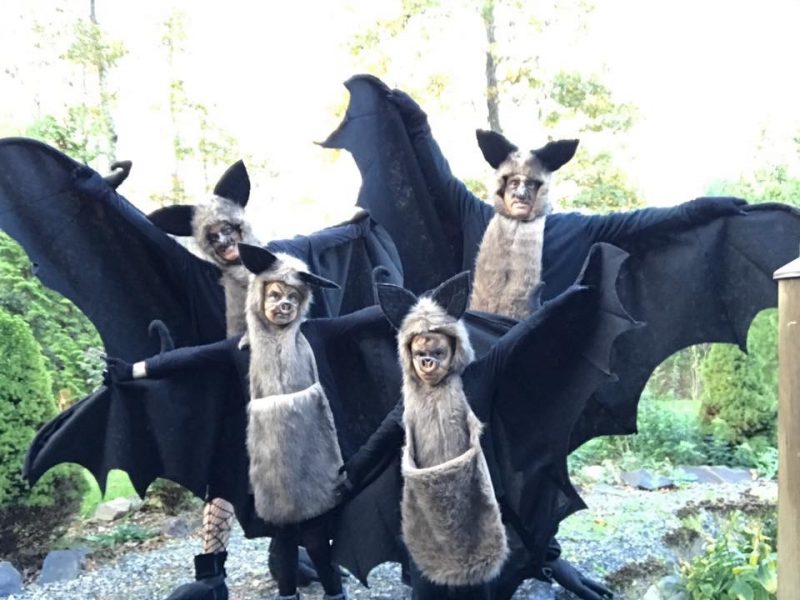 The Bat Family 