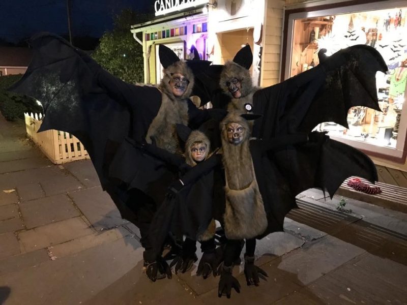 The Bat Family 