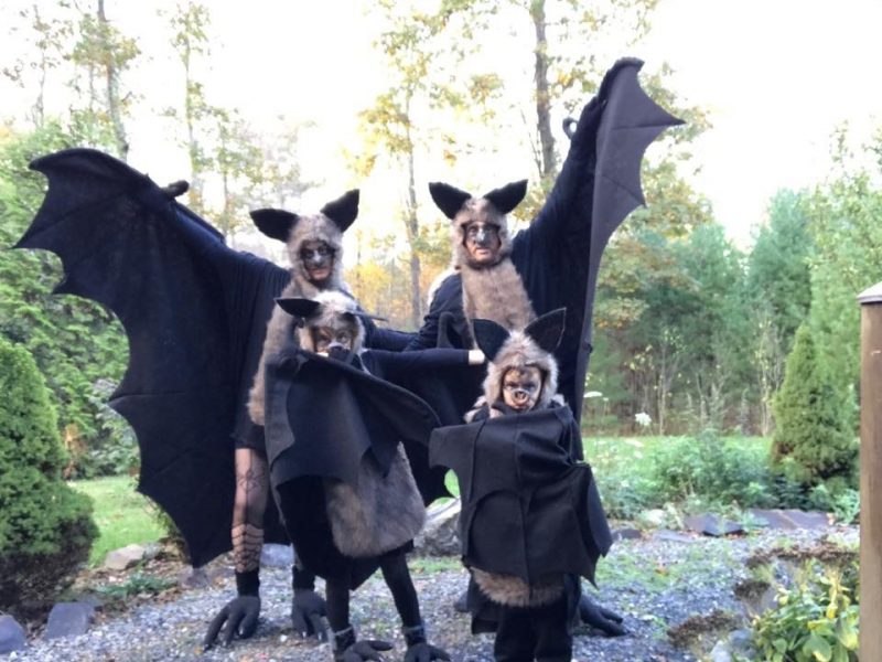 The Bat Family 