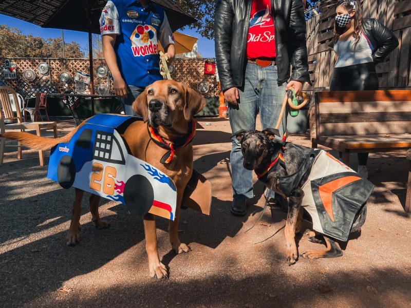 Nascar Couple + Dog Costume