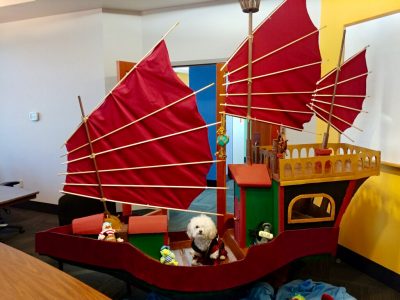 Awesome DIY Sinbad Pirate Dog Costume and Amazing Cardboard Ship!