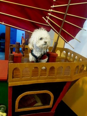 Sinbad Pirate Dog Costume - Just a Dog and His Ship