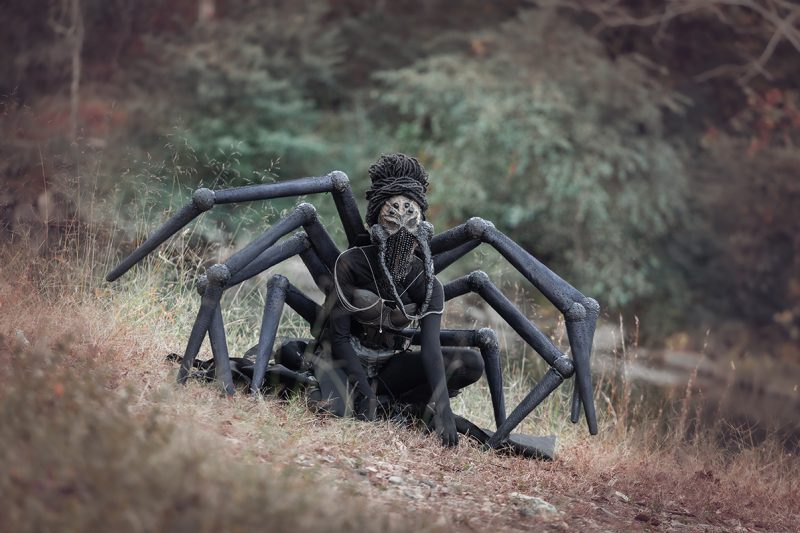 Beatiful & Creepy Spider