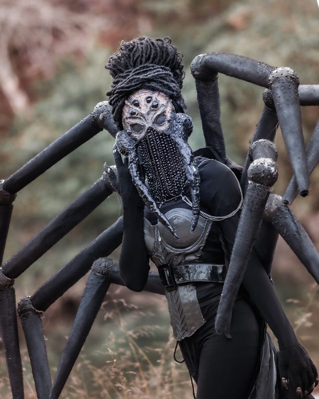 Beatiful & Creepy Spider