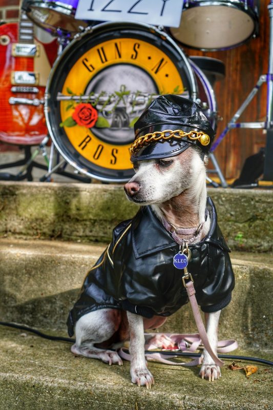 Coolest DIY Family Halloween Costume - Guns N' Roses Costumes