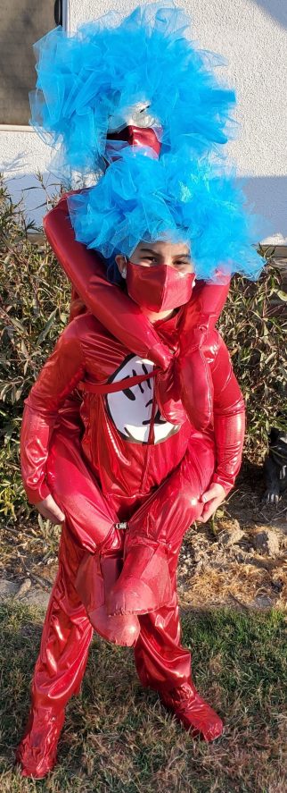 Homemade Thing 1 Costume and Thing 2