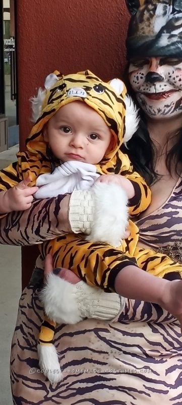 Mama Tiger and Baby Tiger Cub