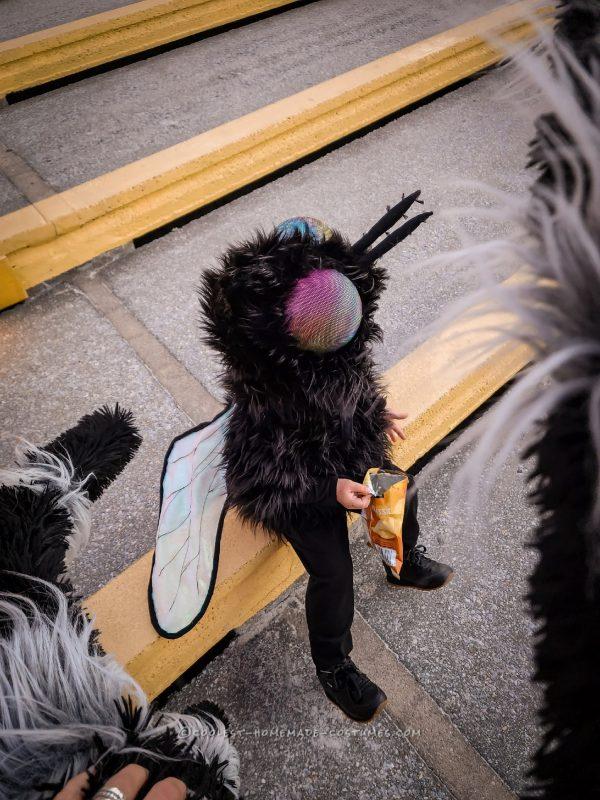 Coolest DIY Spider and Fly Child Costumes