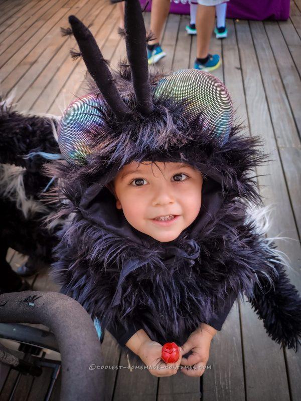 Coolest DIY Spider and Fly Child Costumes