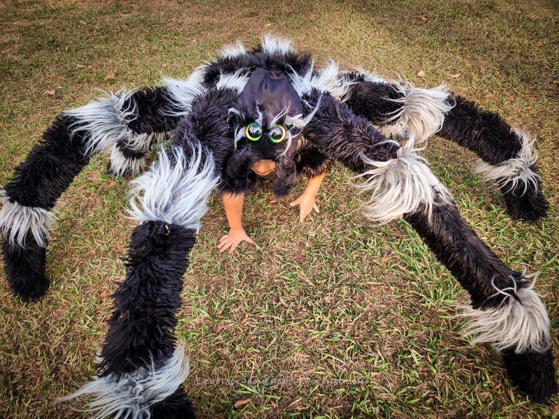 Coolest DIY Spider and Fly Child Costumes