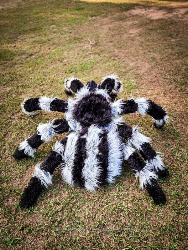 Coolest DIY Spider and Fly Child Costumes