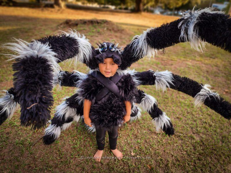 Coolest DIY Spider and Fly Child Costumes