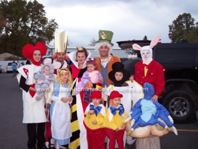Alice Wonderland Costume on Alice In Wonderland Character Costumes