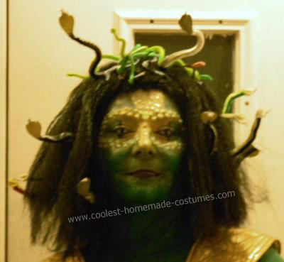 Create  on Coolest Do It Yourself Medusa Halloween Costume 6