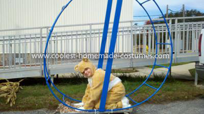 [Image: coolest-hamster-in-a-wheel-costume-2-21582293.jpg]