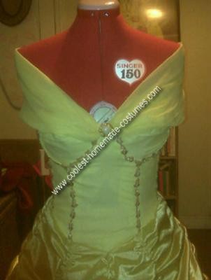 Homemade Belle Costume from Beauty and the Beast 