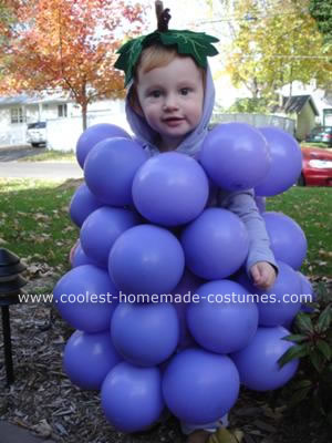 Easy Homemade Halloween Costumes on Coolest Homemade Grapes Costume 4 21299132 Jpg