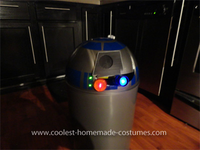 C3PO and R2D2 Star Wars Couple Costume