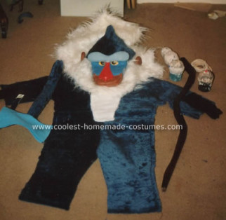 Homemade Rafiki Costume from the Lion King