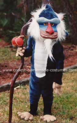 Homemade Rafiki Costume from the Lion King