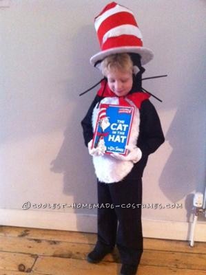 cat in the hat costume diy