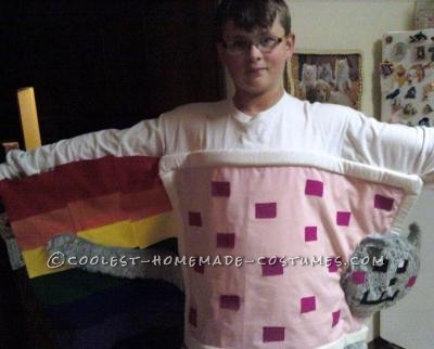 My mom and I made this costume for Halloween 2011. I was kind of addicted to listening to Nyan Cat so I  wanted to dress up like Nyan Cat. The w