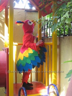 My 2 ½ year old son Aaron was selected to be a parrot at his Preschool fancy dress contest. I was very apprehensive at first but going through