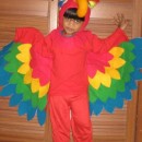 My 2 ½ year old son Aaron was selected to be a parrot at his Preschool fancy dress contest. I was very apprehensive at first but going through