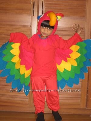 My 2 ½ year old son Aaron was selected to be a parrot at his Preschool fancy dress contest. I was very apprehensive at first but going through