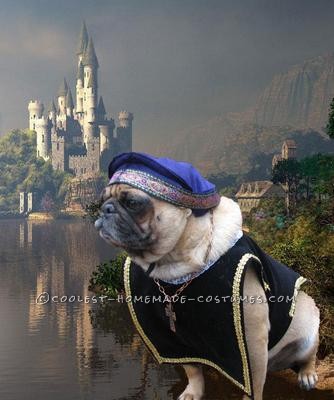 This is Sir Walter. He was entered in the Pug Social ensemble (more than one pug) costume contest with his mate Josie dressed as the “Tudors&rd