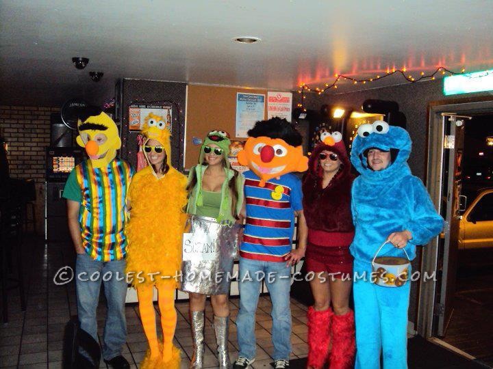 sesame street costume