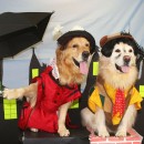 Coolest Dog Costumes - MaryPUPins