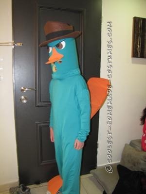 My sun,Omer, is crazy about Phinnias and Ferb. So last Purim he wanted me to create him a costume of them. But as this funny couple had ready costume