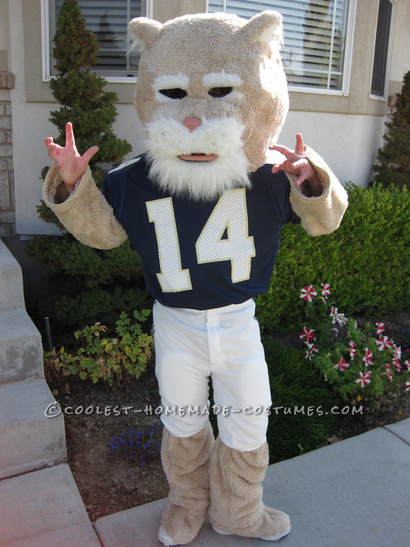 Coolest Homemade Mascot Costumes