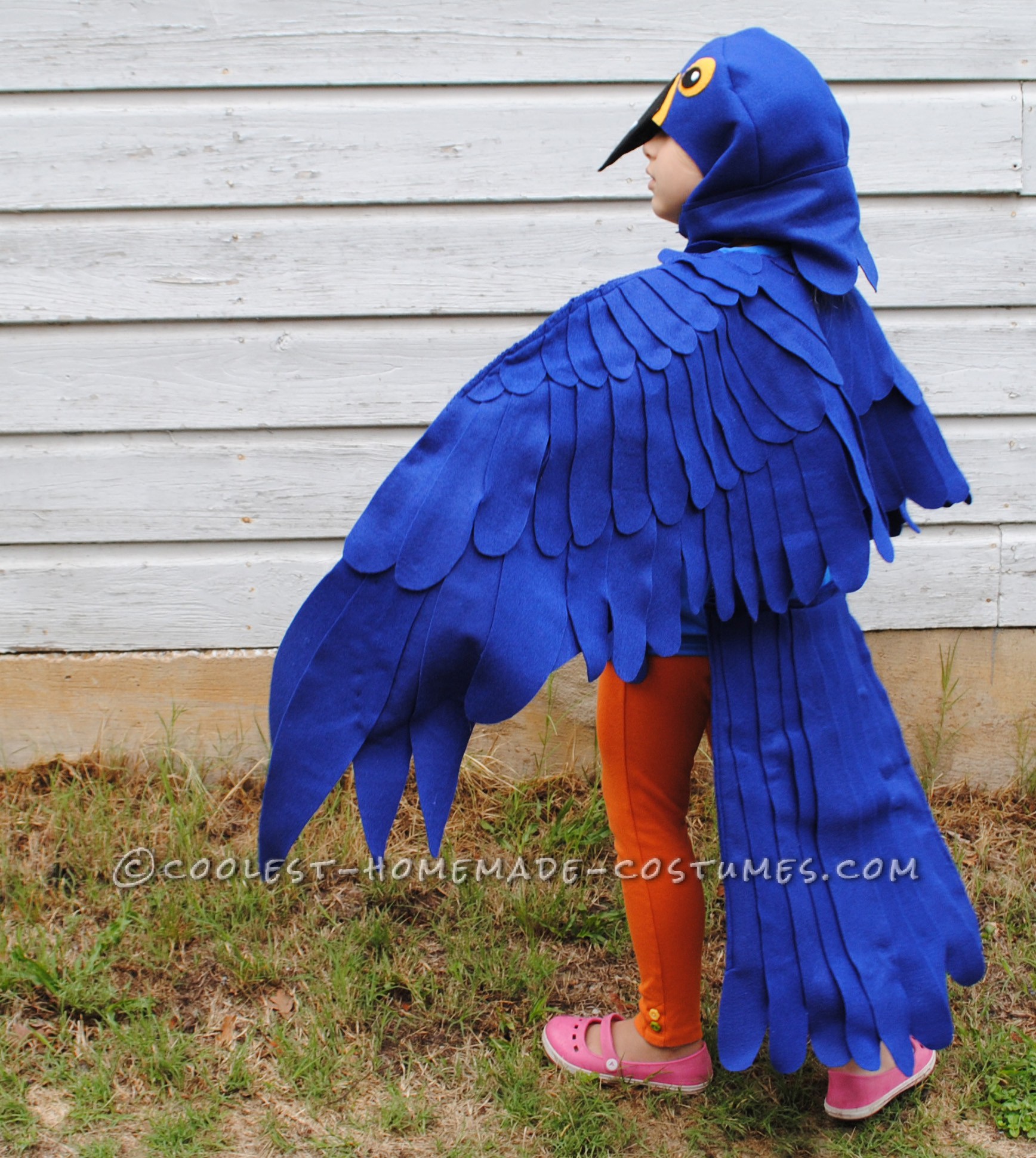 This is a blue Macaw Parrot Costume, Handmade by (Me) a stay at home mom and freelance artist
This costume is based around a blue tshirt layere