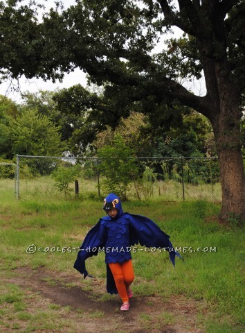 This is a blue Macaw Parrot Costume, Handmade by (Me) a stay at home mom and freelance artist
This costume is based around a blue tshirt layere