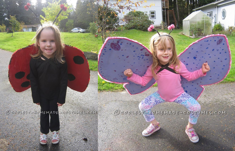 Cool Homemade Insect Costumes: Butterfly and Ladybug