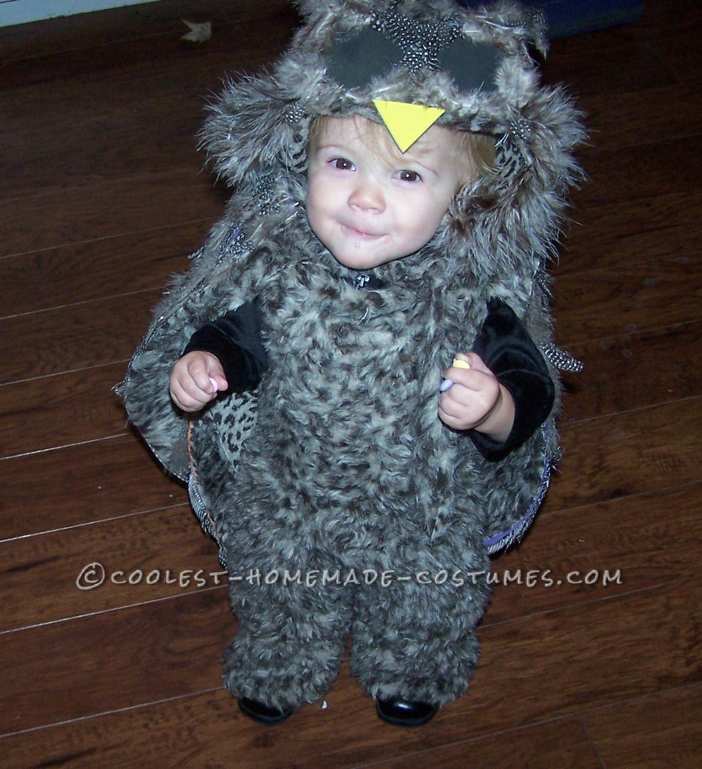 Cutest Homemade Owl Costume