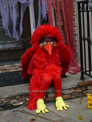 Last-Minute No-Sew Red Bird Costume