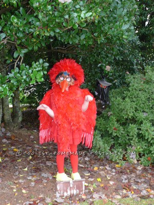 Last-Minute No-Sew Red Bird Costume