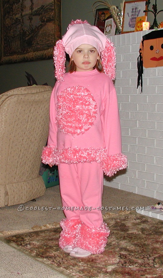 Pink Poodle Costume
 
My daughter wanted to be pink poodle.  It was much easier than I had originally suspected.  We started with on