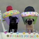 Step by Step Recipe for Making Pup Cakes! (Cup Cake Costume for Your Dog)