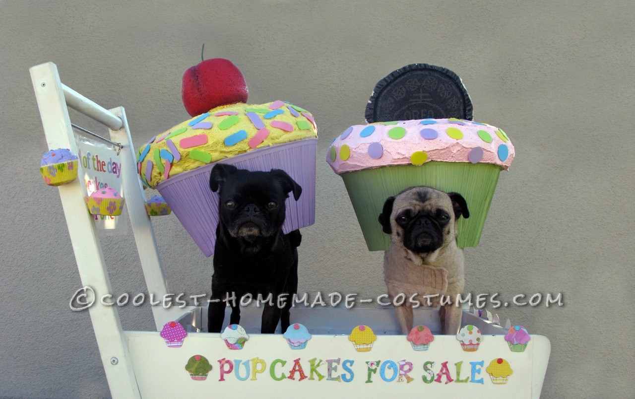 Step by Step Recipe for Making Pup Cakes! (Cup Cake Costume for Your Dog)